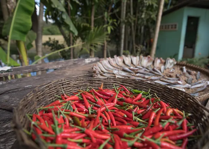 Chansor 10 By Siem Reap Homesteading *