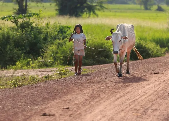 Chansor 10 By Siem Reap Homesteading