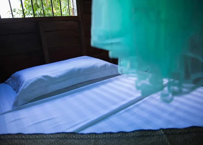 Chansor 10 By Siem Reap Homesteading * Phumi Trach Pok