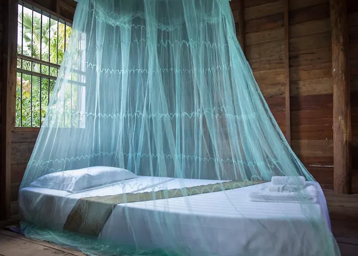 Chansor 10 By Siem Reap Homesteading *